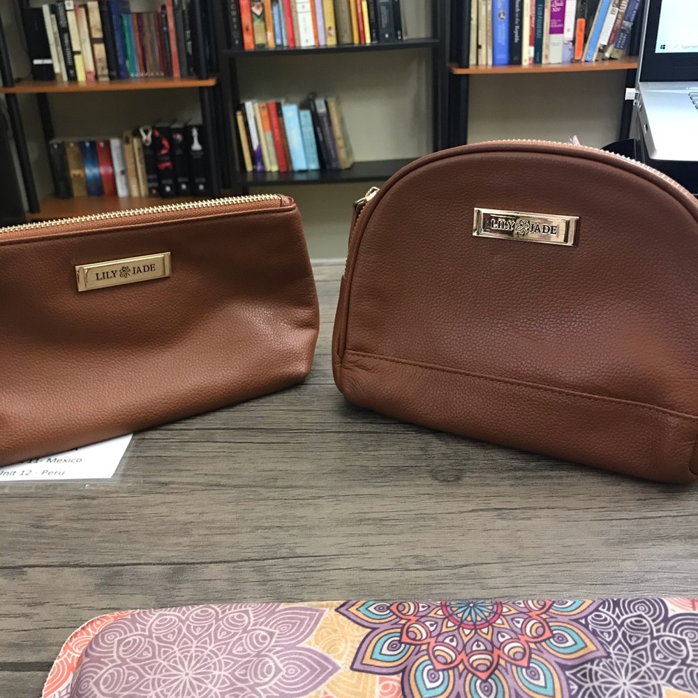 Lily Jade accessory bags pouches- in camel small